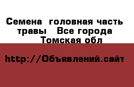 Семена (головная часть))) травы - Все города  »    . Томская обл.